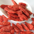 Wholesale Dried Wild Goji Berry Ningxia bulk